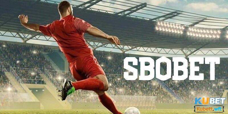 Top bộ môn được ưa chuộng tại sbobet sport